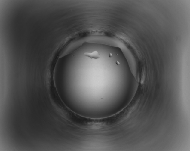 X0000089950448200706291214