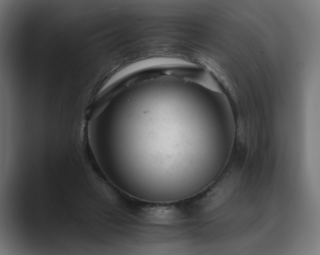 X0000089950449200706291214