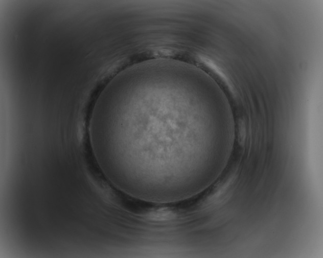 X0000089950451200706291214