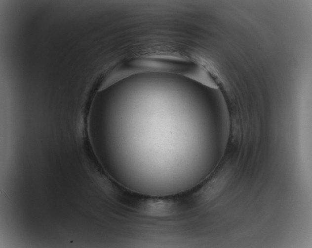 X0000089950453200706291214