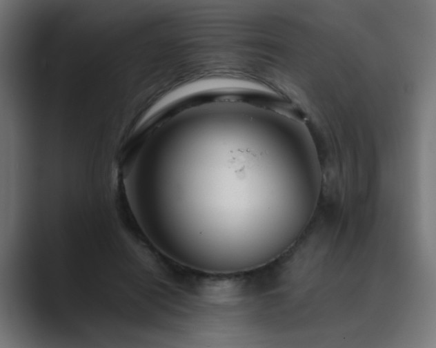 X0000089950454200706291214
