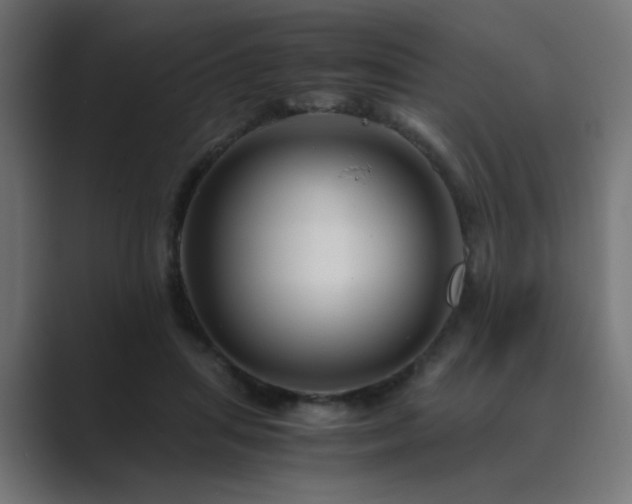 X0000089950455200706291214
