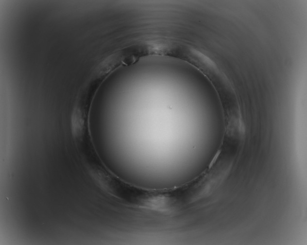 X0000089950456200706291214