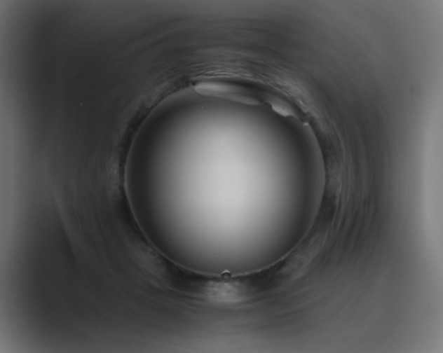 X0000089950457200706291214