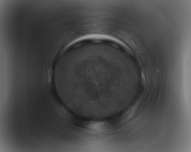 X0000089950458200706291214