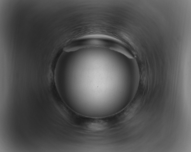 X0000089950459200706291214
