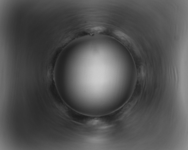 X0000089950460200706291214