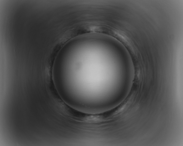 X0000089950461200706291215