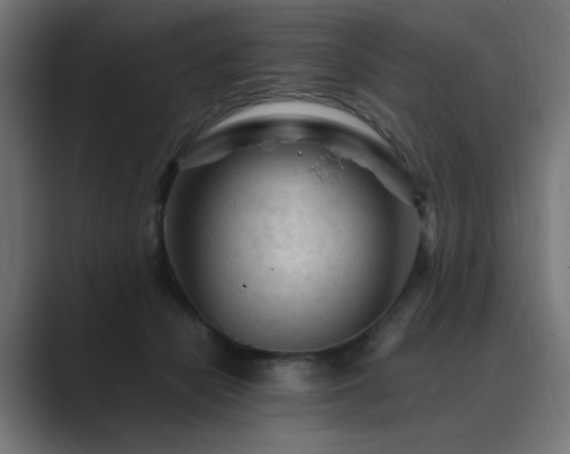 X0000089950462200706291215
