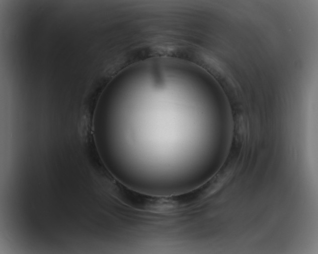 X0000089950463200706291215