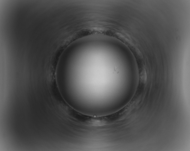 X0000089950464200706291215