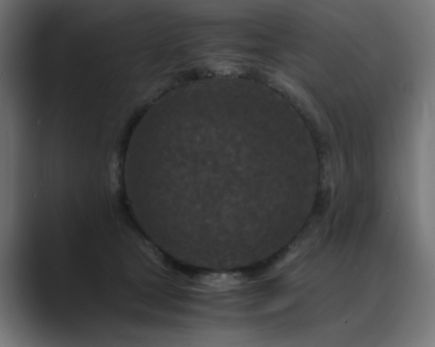 X0000089950465200706291215