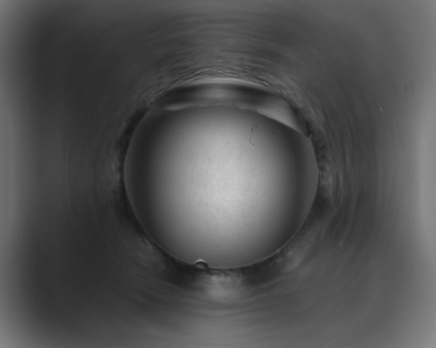 X0000089950466200706291215