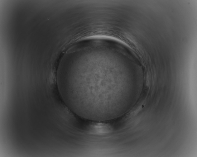 X0000089950467200706291215