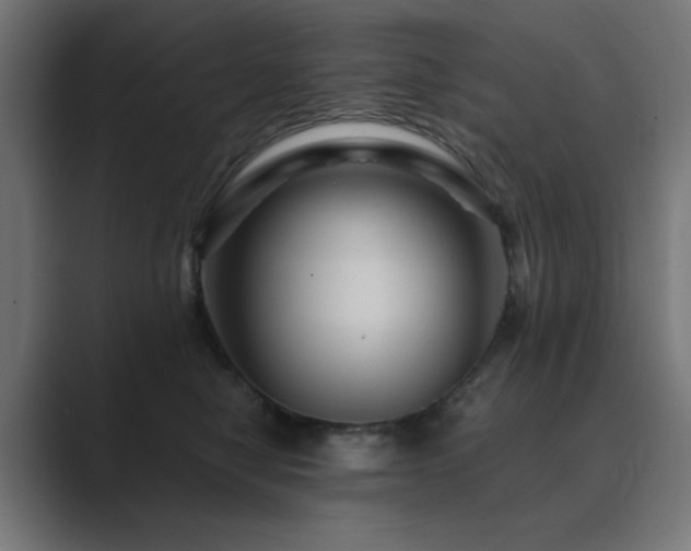 X0000089950470200706291215
