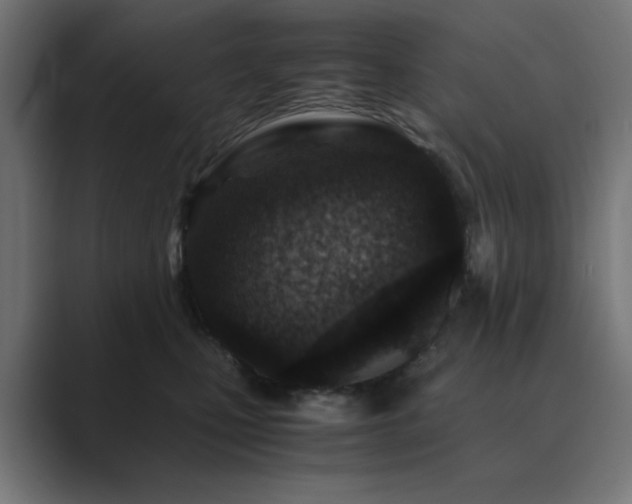 X0000089950471200706291215