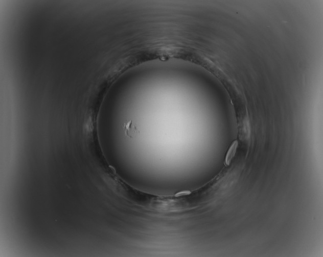 X0000089950472200706291215