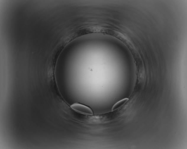 X0000089950473200706291215