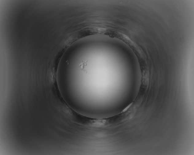 X0000089950474200706291215