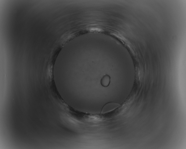 X0000089950475200706291215