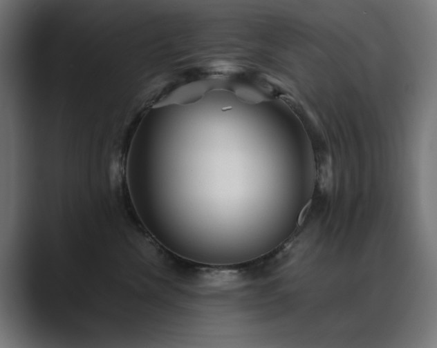 X0000089950476200706291215