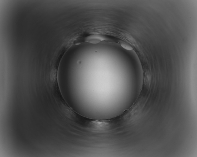 X0000089950477200706291215