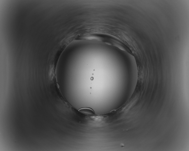 X0000089950478200706291215