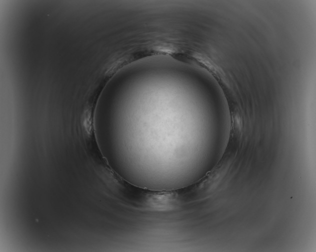 X0000089950479200706291215