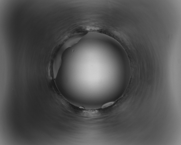 X0000089950480200706291215