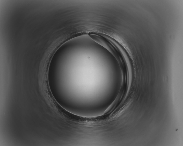 X0000089950481200706291214
