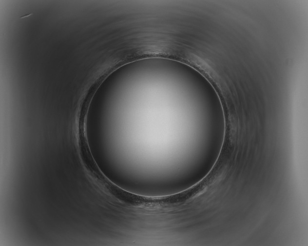 X0000089950482200706291214