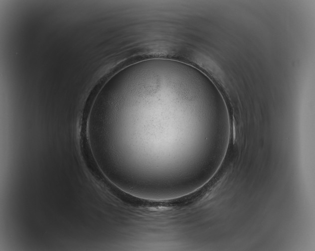 X0000089950483200706291214