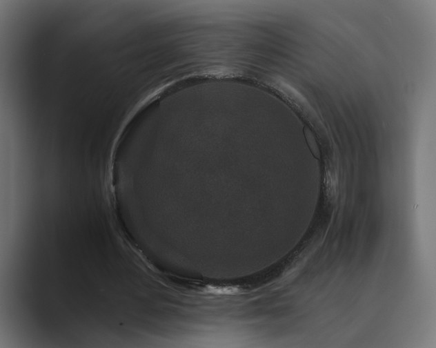 X0000089950484200706291214