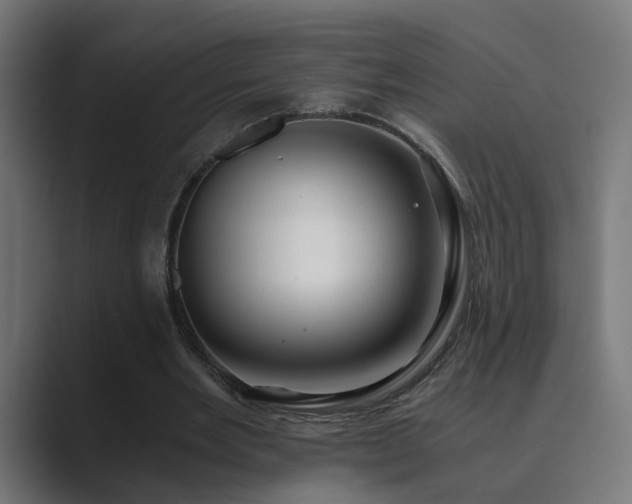X0000089950485200706291214