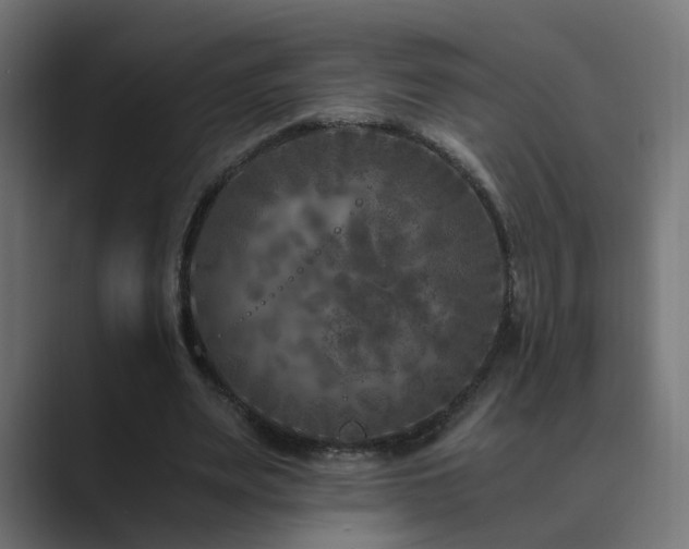 X0000089950487200706291214