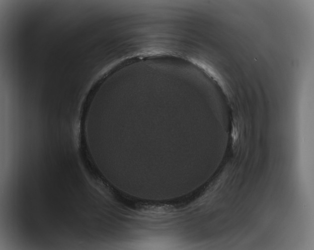 X0000089950488200706291214