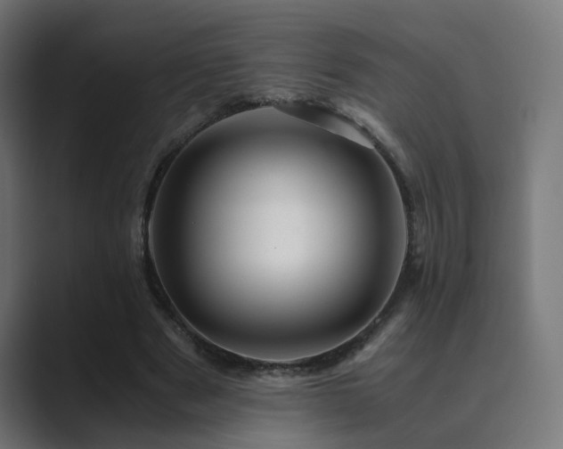 X0000089950489200706291214