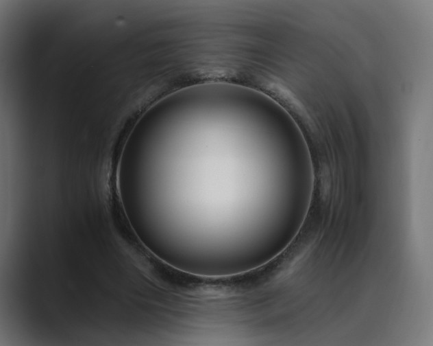 X0000089950490200706291214