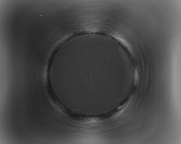 X0000089950492200706291214