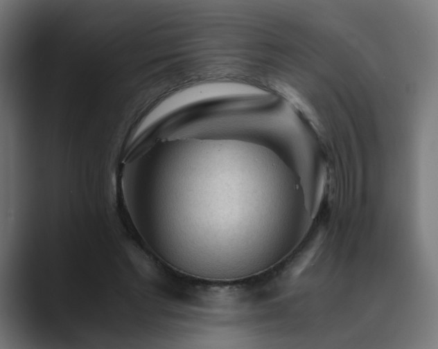 X0000089950493200706291214