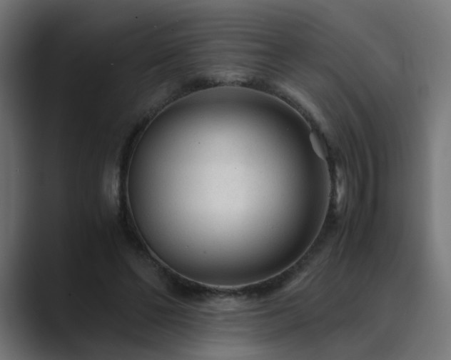 X0000089950494200706291214