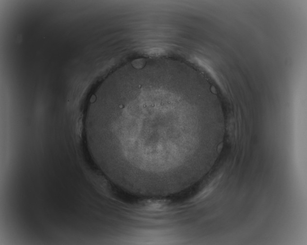 X0000089950495200706291214