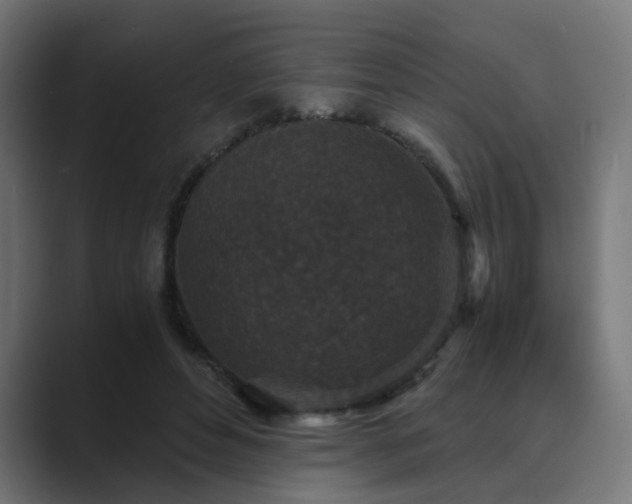 X0000089950496200706291214