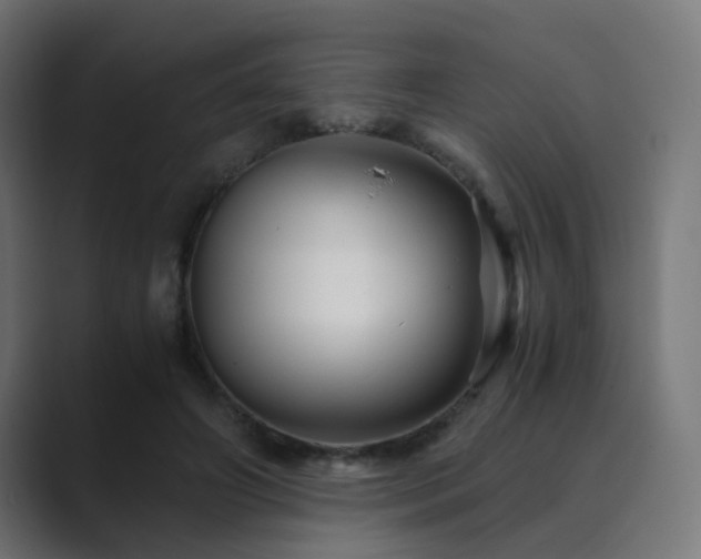 X0000089950498200706291214