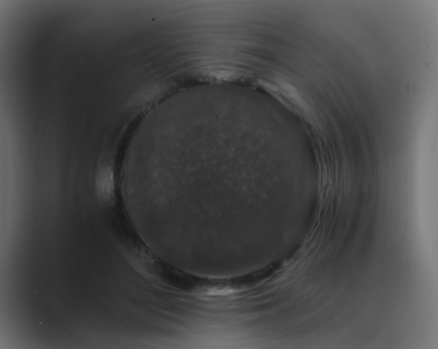 X0000089950500200706291214