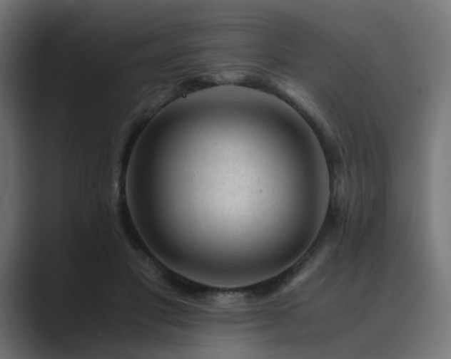 X0000089950501200706291214
