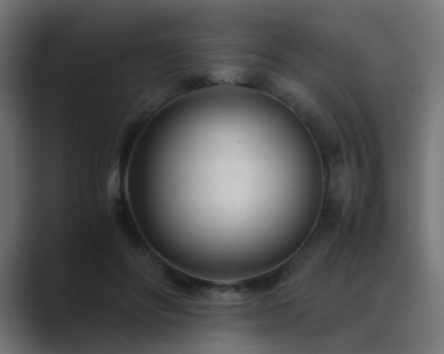 X0000089950502200706291214