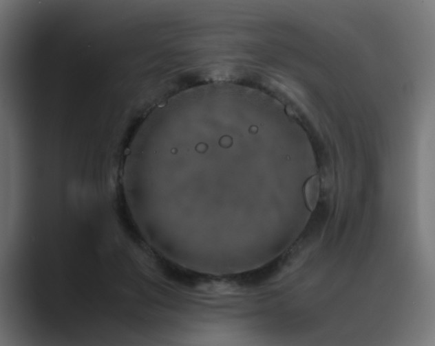 X0000089950503200706291214