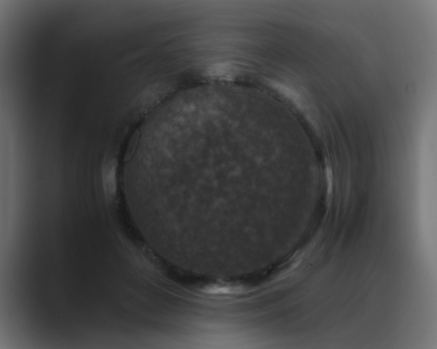 X0000089950504200706291214