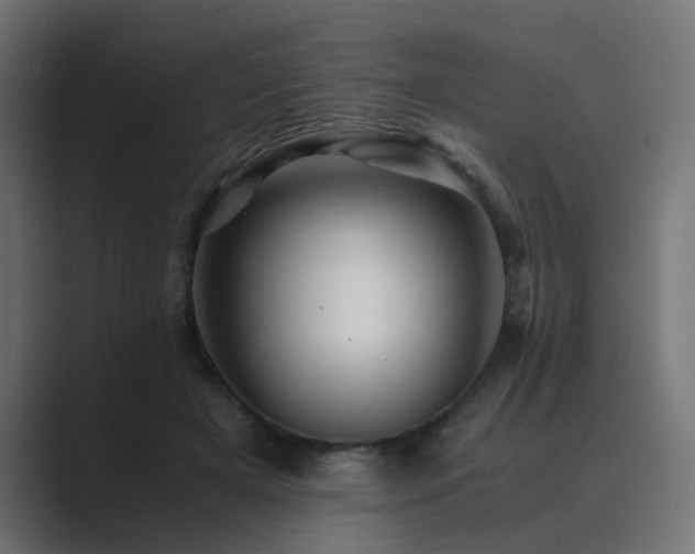 X0000089950505200706291214